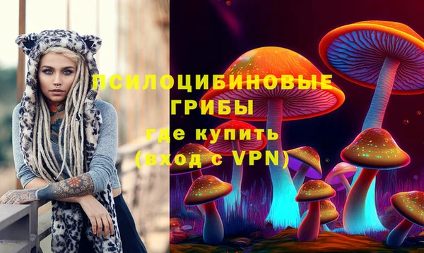 прущая мука Армянск