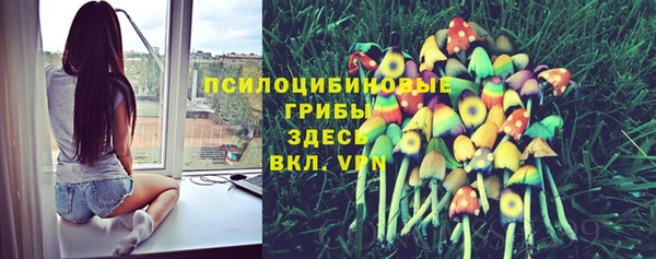 таблы Арсеньев