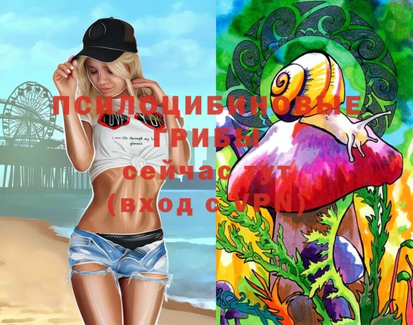 прущая мука Армянск