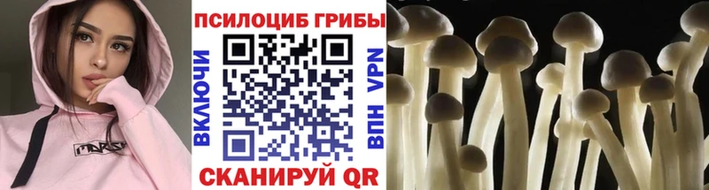 где купить наркоту  Советский  блэк спрут онион  Псилоцибиновые грибы GOLDEN TEACHER 